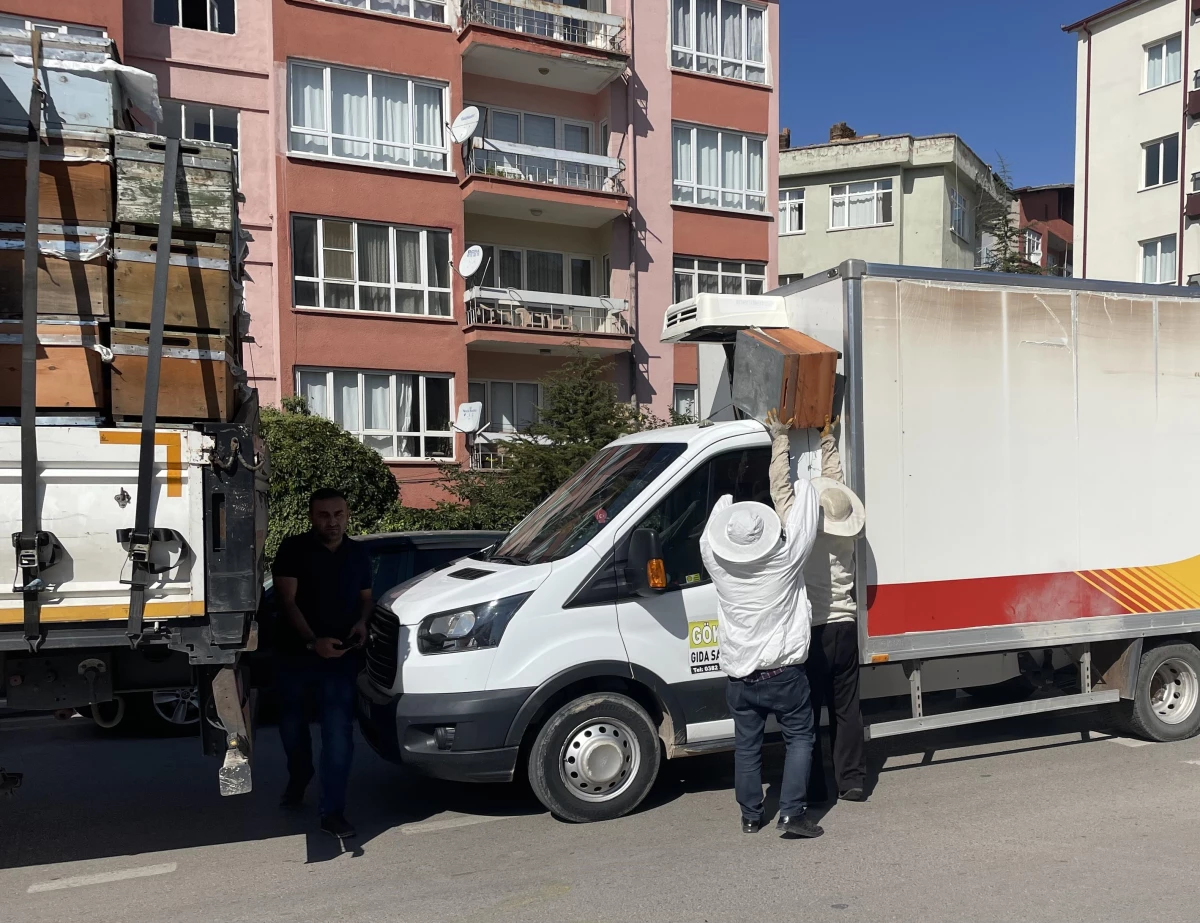 Aksaray haber | Aksaray\'da kamyona çarpan tırdaki kovanlarda bulunan arılar çevredekilere zor anlar yaşattı