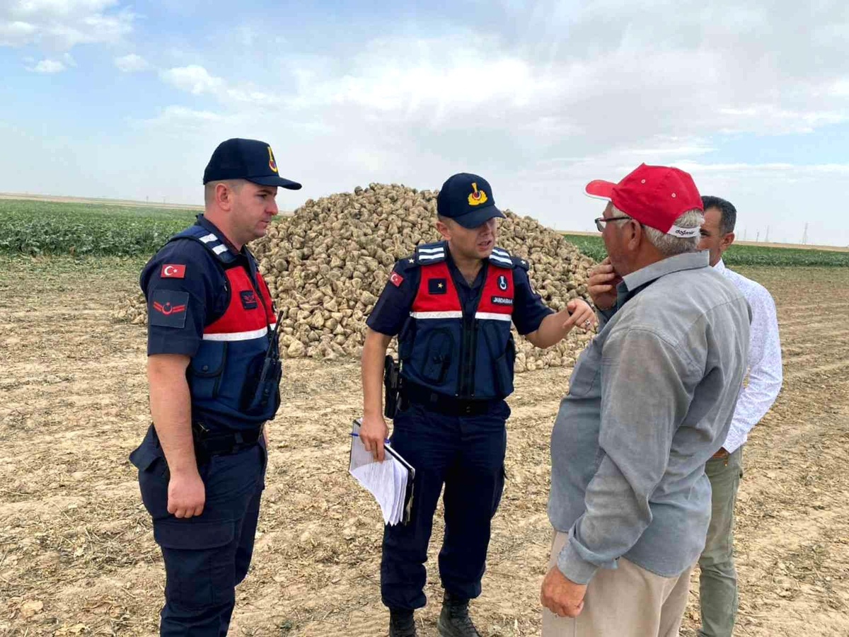 Son dakika haber... Aksaray jandarma hırsızlığa karşı tarım arazilerinde