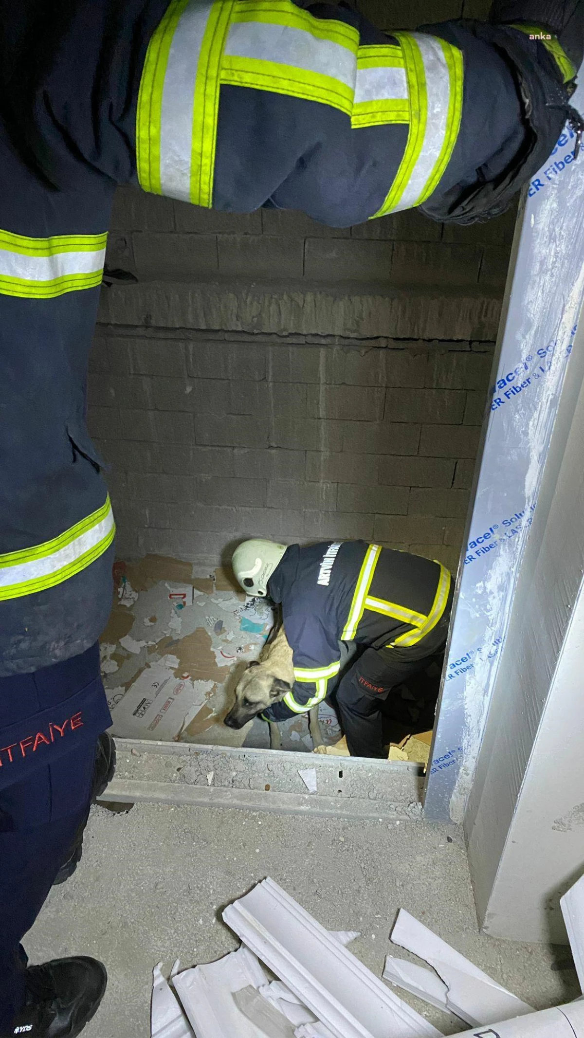 Artvin haber | Artvin\'de Asansör Boşluğuna Düşen Köpek Kurtarıldı