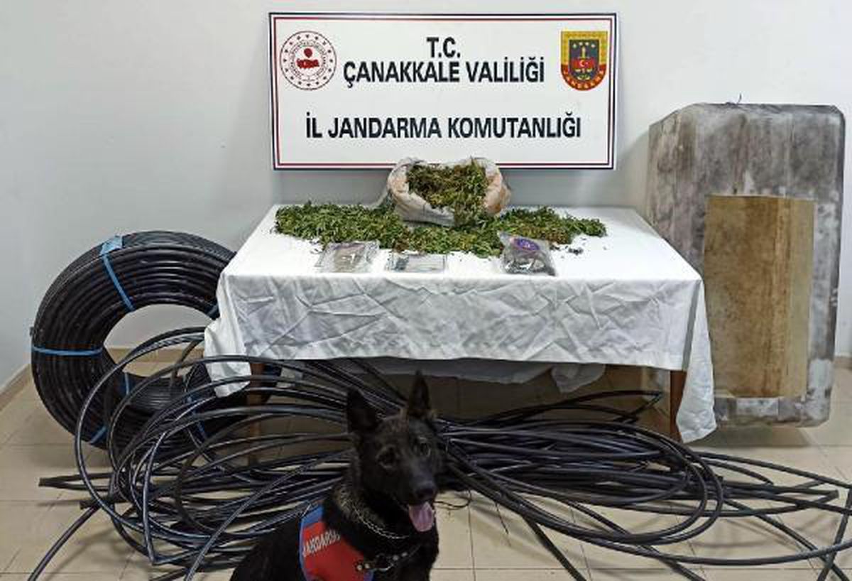 Son Dakika | Çanakkale\'de 4,5 kilo esrara 1 gözaltı