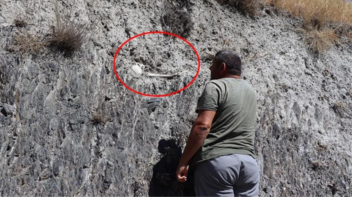 Erzurum\'un Oltu ilçesinde toprağa gömülü insan kemikleri bulundu