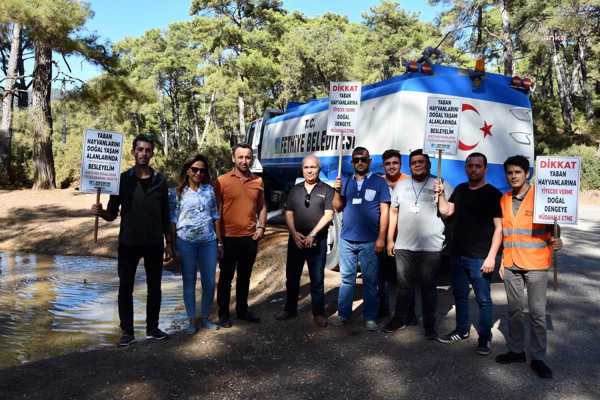 Muğla haber: Fethiye Belediyesi Yaban Hayvanları İçin Ormana Yiyecek Götürdü