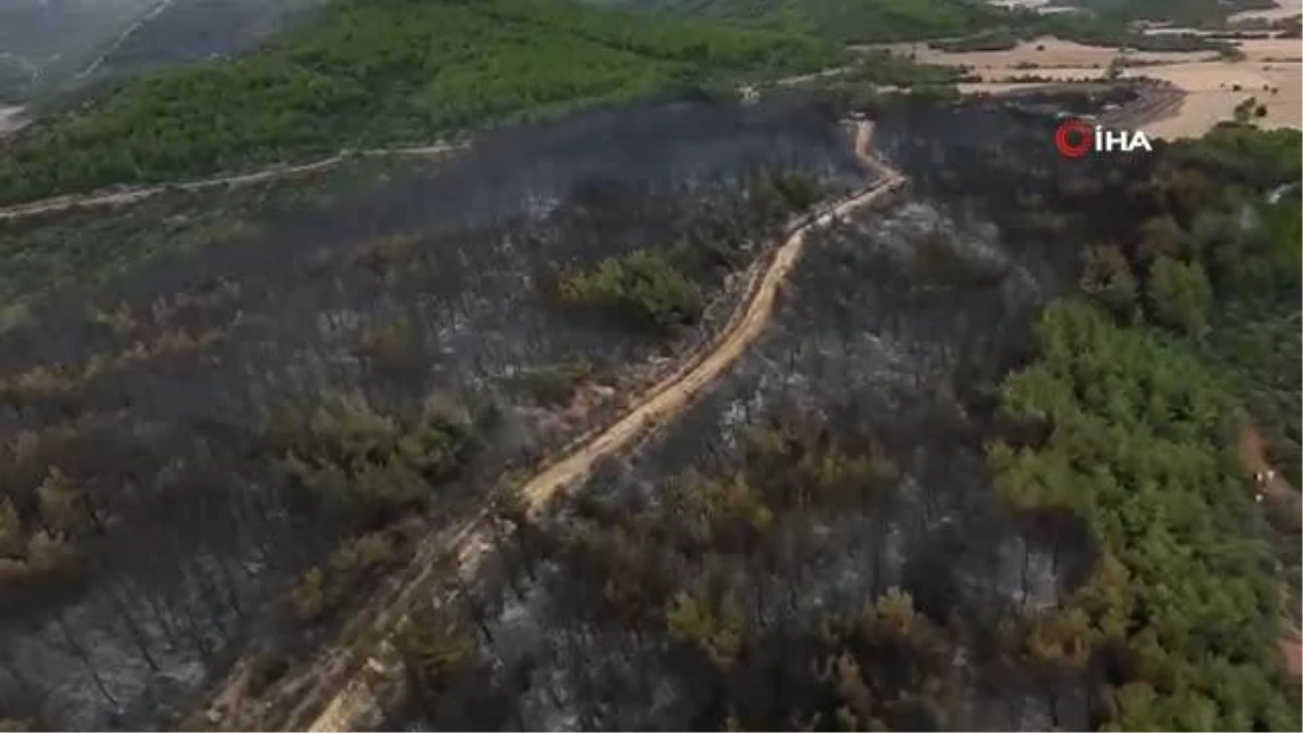 Son dakika haber | Gelibolu\'daki orman yangını söndürüldü