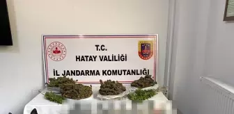 Hatay 3. sayfa haberi... Hatay'da derin dondurucudan uyuşturucu çıktı