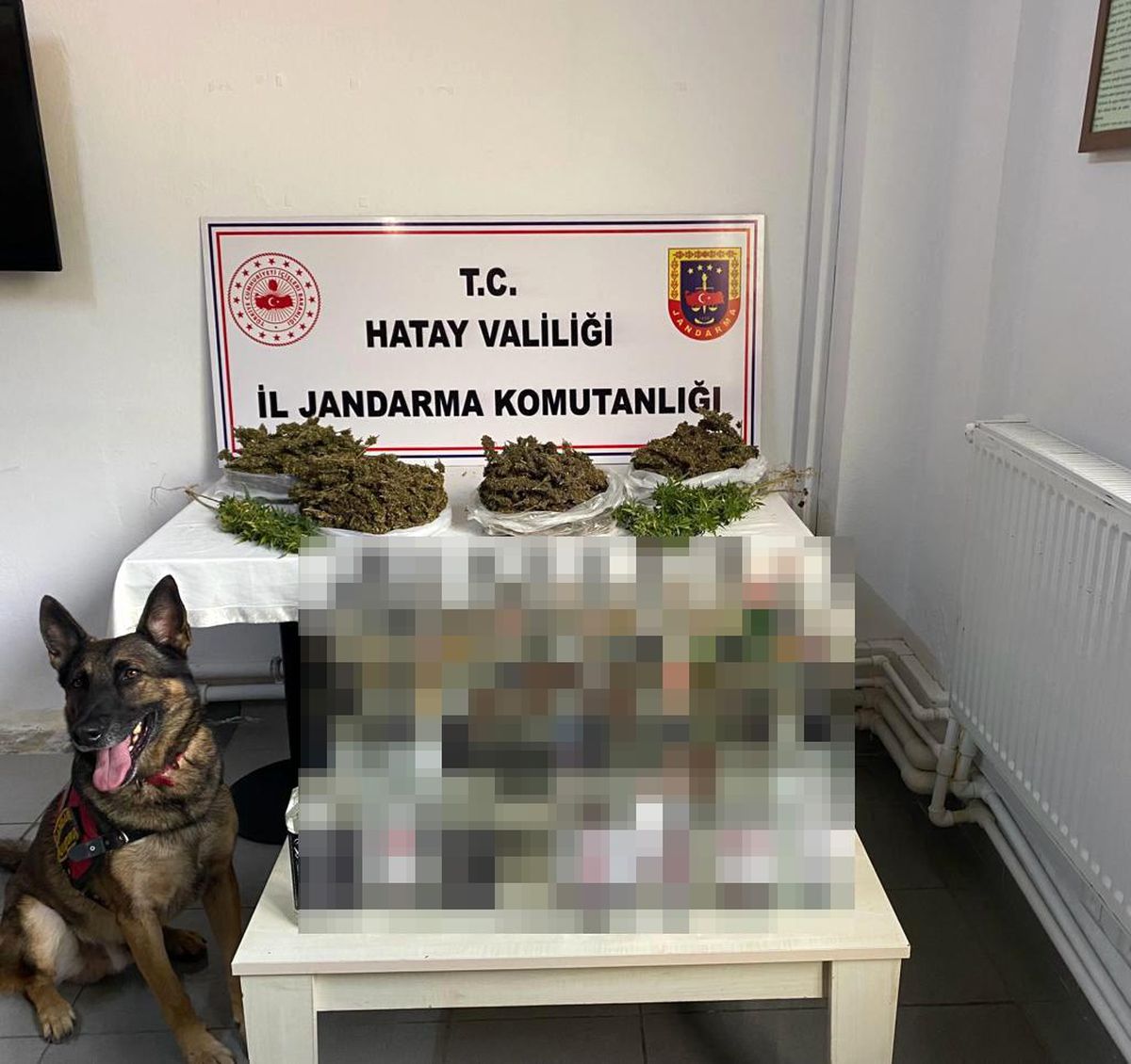 Hatay 3. sayfa haberi... Hatay'da derin dondurucudan uyuşturucu çıktı