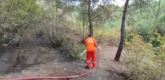 Karabük gündem haberleri... Karabük'te çıkan orman yangını söndürüldü