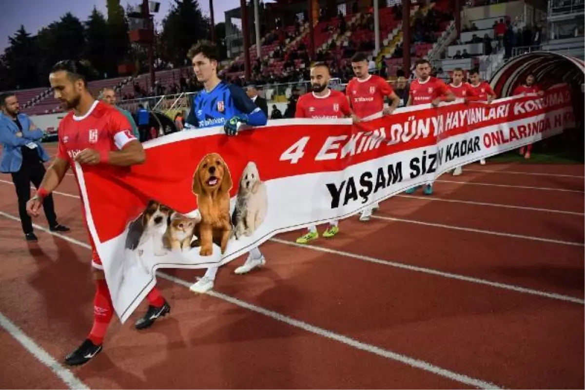 Sokak hayvanları için Balıkesirspor\'dan anlamlı pankart