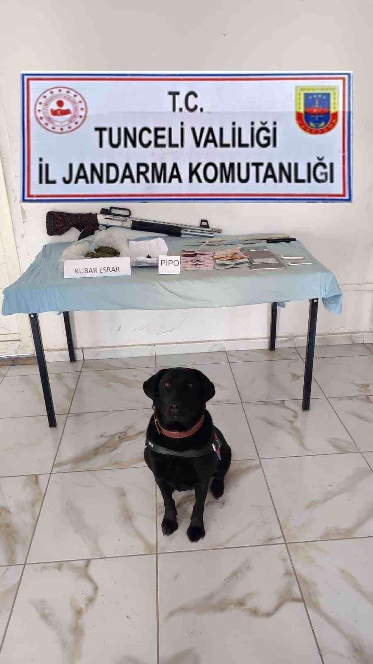 Tunceli haberleri: Tunceli\'de uyuşturucu operasyonu: 1 gözaltı