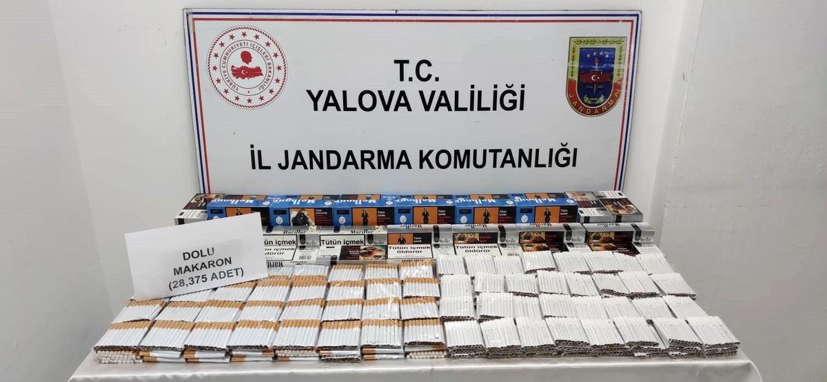 Son dakika haberleri... Yalova\'da jandarmadan kaçak sigara operasyonu