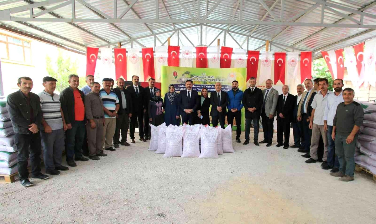 Amasya ekonomi haberi | Amasya çiftçisine 169 ton yem bitkisi tohumu desteği