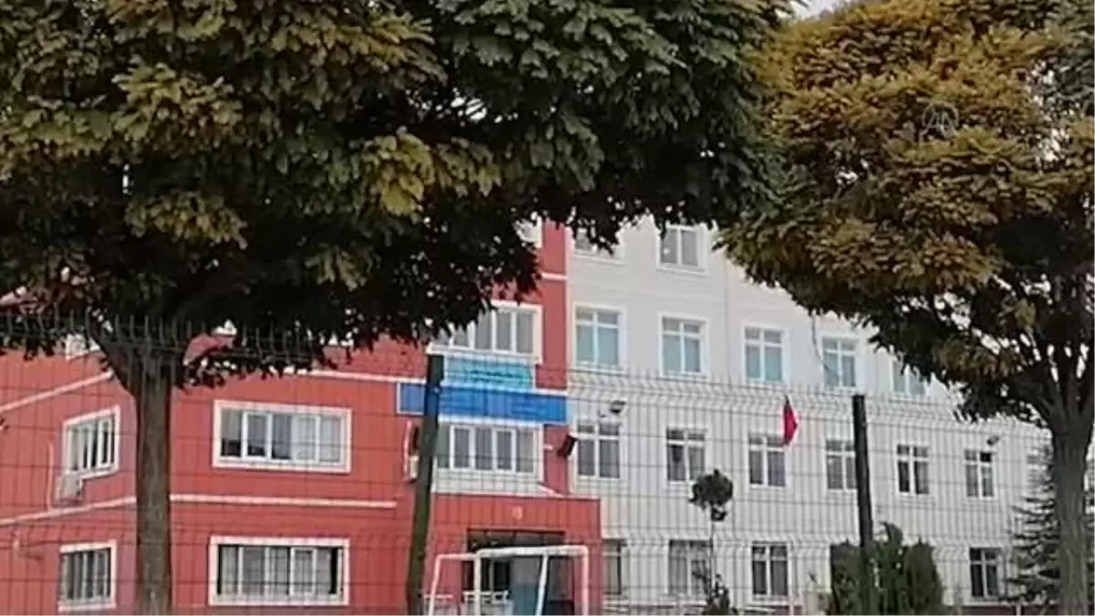 Bazı öğrencileri arıların soktuğu okulda eğitime ara verildi