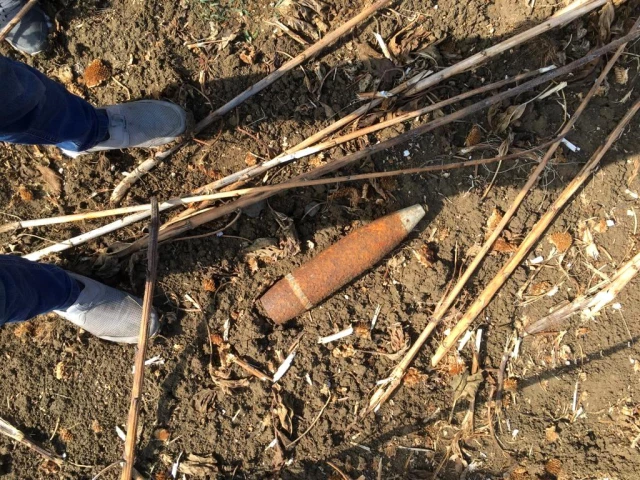 Ayçiçeği toplamaya giden çiftçi, tarlada patlamamış top mermisi buldu