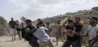 Filistinlilerin zeytin hasadı dayanışmasına müdahale eden İsrail güçleri 2 kişiyi gözaltına aldı