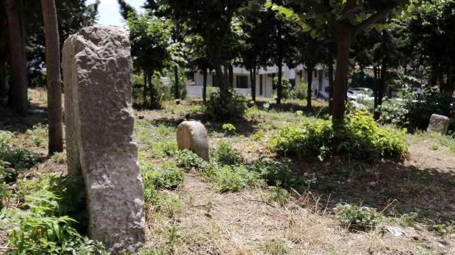 İstanbul'da yanından geçenlerin bile fark etmediği, toplu cellat mezarlığı görüntülendi