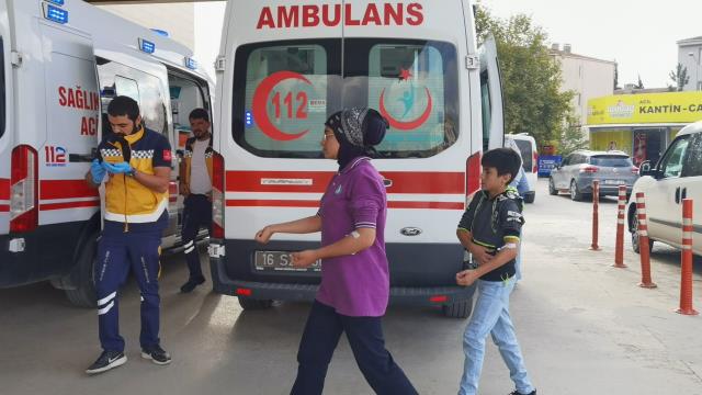 Kovanlarına vurulan arılar 15 öğrenciyi soktu! Eğitime bir gün ara verildi Kovanlarına vurulan arılar 15 öğrenciyi soktu! Eğitime bir gün ara verildi