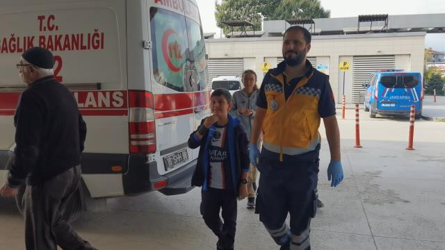Kovanlarına vurulan arılar 15 öğrenciyi soktu! Eğitime bir gün ara verildi Kovanlarına vurulan arılar 15 öğrenciyi soktu! Eğitime bir gün ara verildi