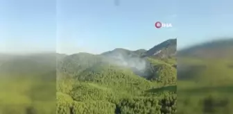 Muğla yerel haberi: Ortaca'da yıldırım kaynaklı orman yangını kontrol altına alındı