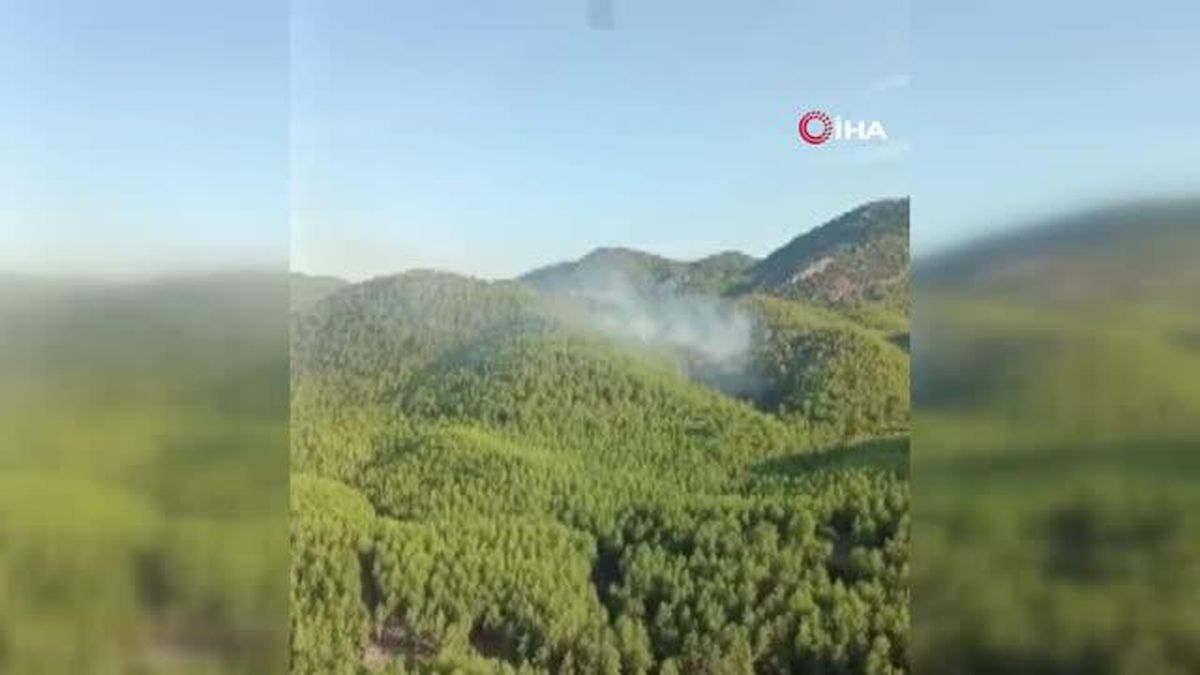 Muğla yerel haberi: Ortaca'da yıldırım kaynaklı orman yangını kontrol altına alındı