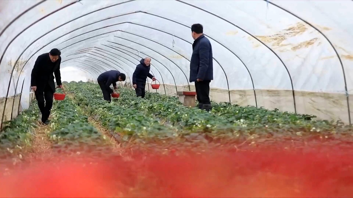 Yabancı Yetkili ve Uzmanlar, Çin\'in Yoksulluğu Bertaraf Etme Deneyimini Övdü