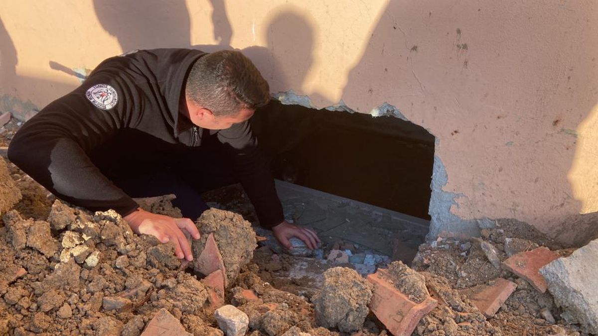 Erzincan gündem haberi | Erzincan\'da bodrumda mahsur kalan köpeği itfaiye kurtardı