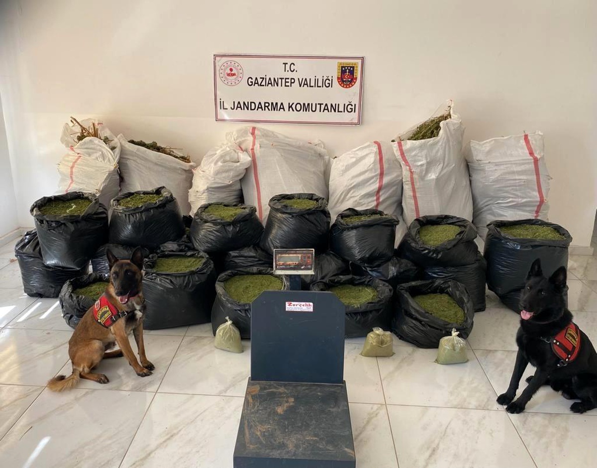 Gaziantep 3. sayfa: Gaziantep\'te 235 kilo kubar esrar ele geçirildi