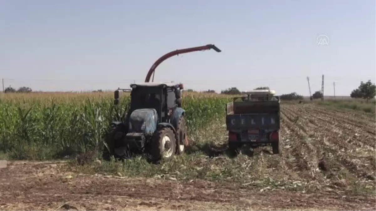 Gaziantepli çiftçiler, ÇKS işlemlerinin e-Devlet\'ten yapılmasından memnun