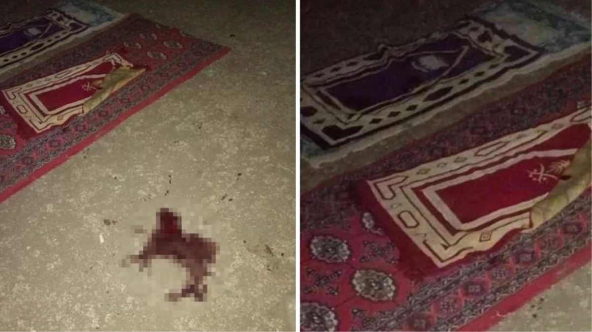 Diyarbakır\'da korkunç olay: Kayınbaba, namaz kılan damadını 4 el ateş ederek öldürdü