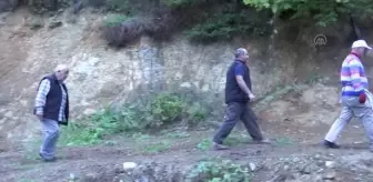 Nebiyan kestanesinde hasat mesaisi başladı
