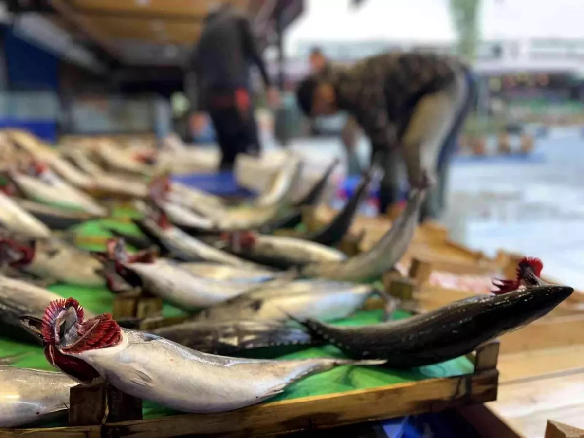 Tezgahlarda palamut bolluğu devam ediyor