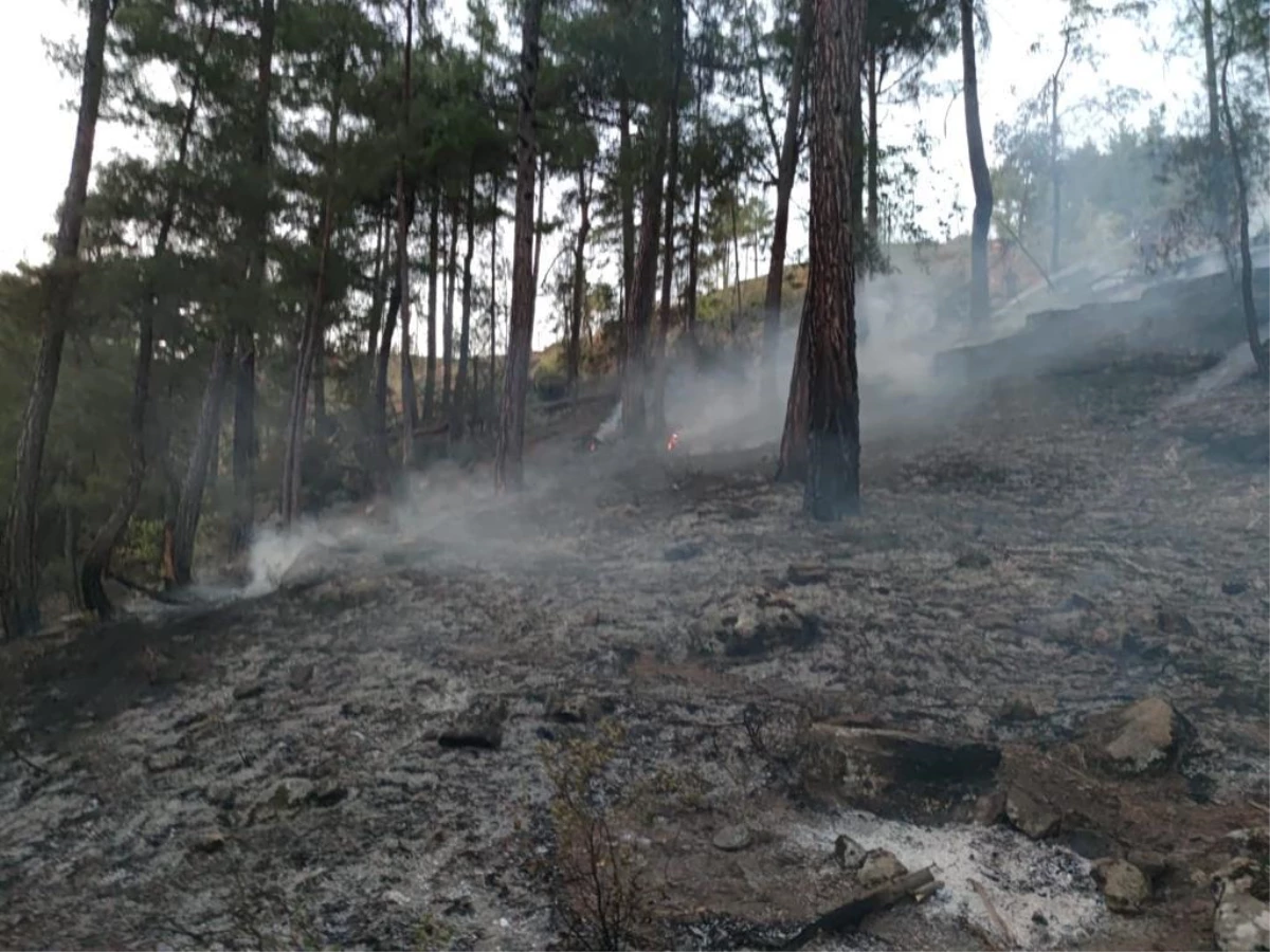 Son dakika gündem: Adana\'da çıkan orman yangını kontrol altına alındı