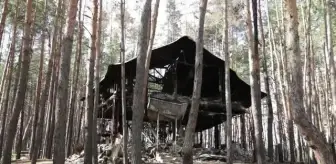 Borova köyü, Ukrayna kontrolüne geçtikten sonra görüntülendi