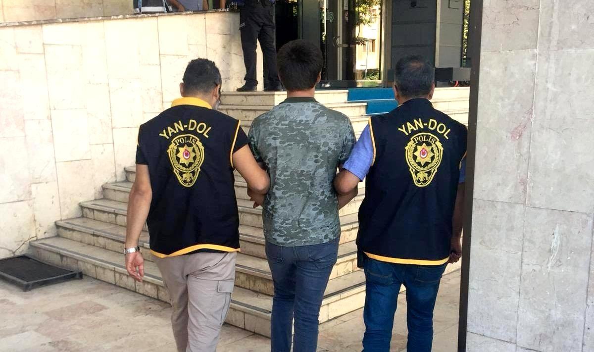 Çatı faresi yakalandı
