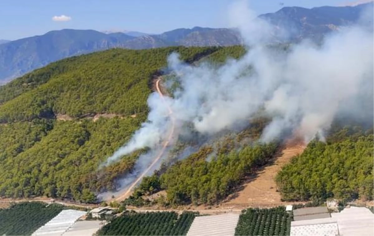 Son dakika haberi | Antalya\'da orman yangını (2)