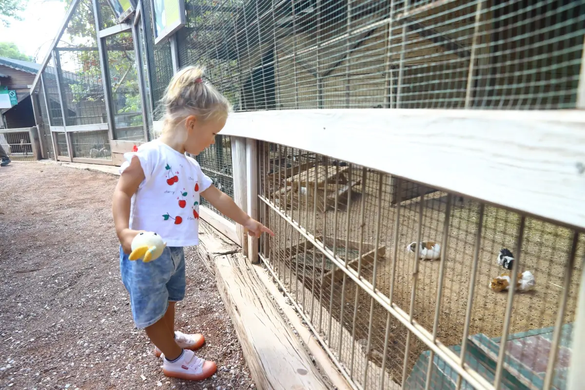 Antalya haberleri: Antalya Doğal Yaşam Parkı'nı yıl başından bu yana yaklaşık 500 bin kişi ziyaret etti