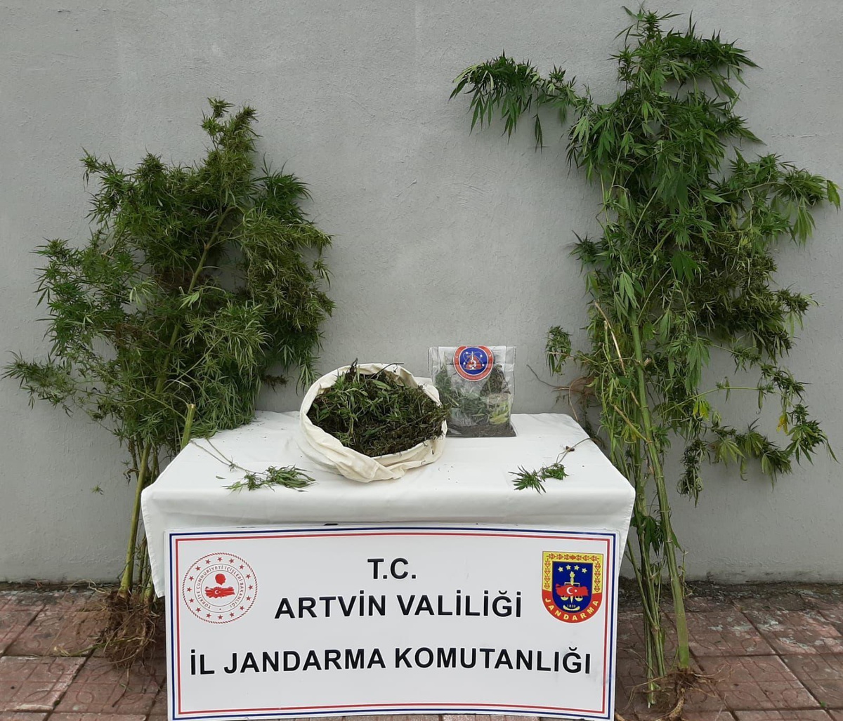 Son dakika haberleri | Artvin\'de uyuşturucu operasyonunda 2 kişi gözaltına alındı