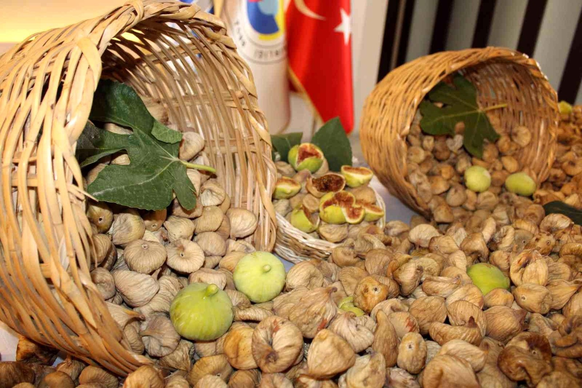 Aydın ekonomi haberi | Aydın incirinin ihracat yolculuğu başladı