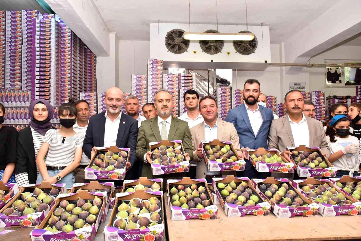 Bursa haber | Bursa Büyükşehir, üreticiye can suyu oldu