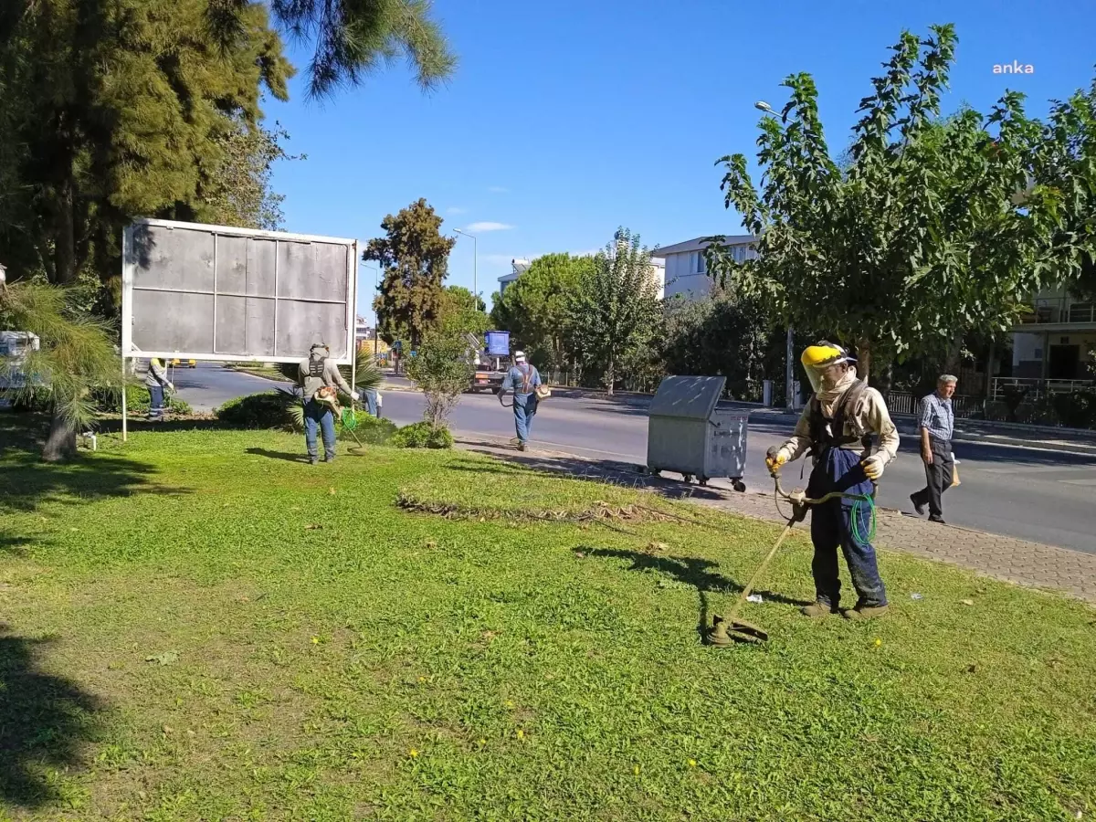 Aydın yerel haberleri | Didim Belediyesi Peyzaj Çalışmalarını Sürdürüyor