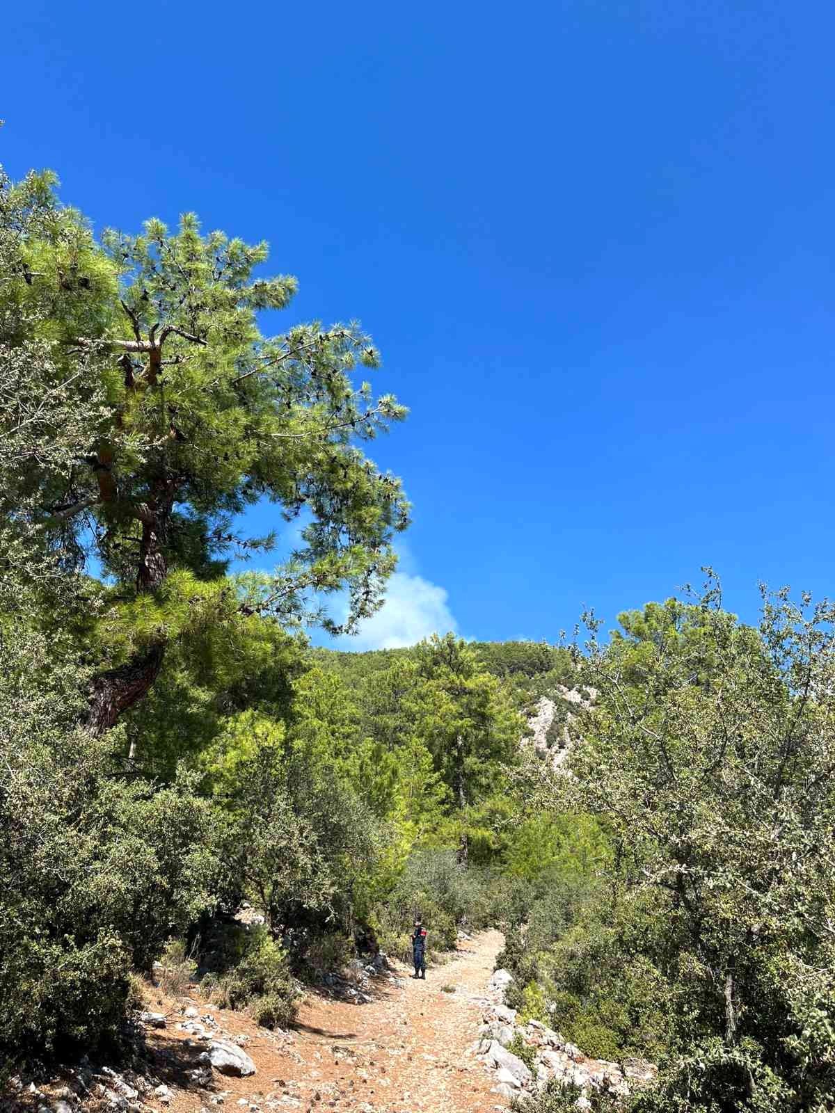 Muğla haberleri... Fethiye\'de orman yangını