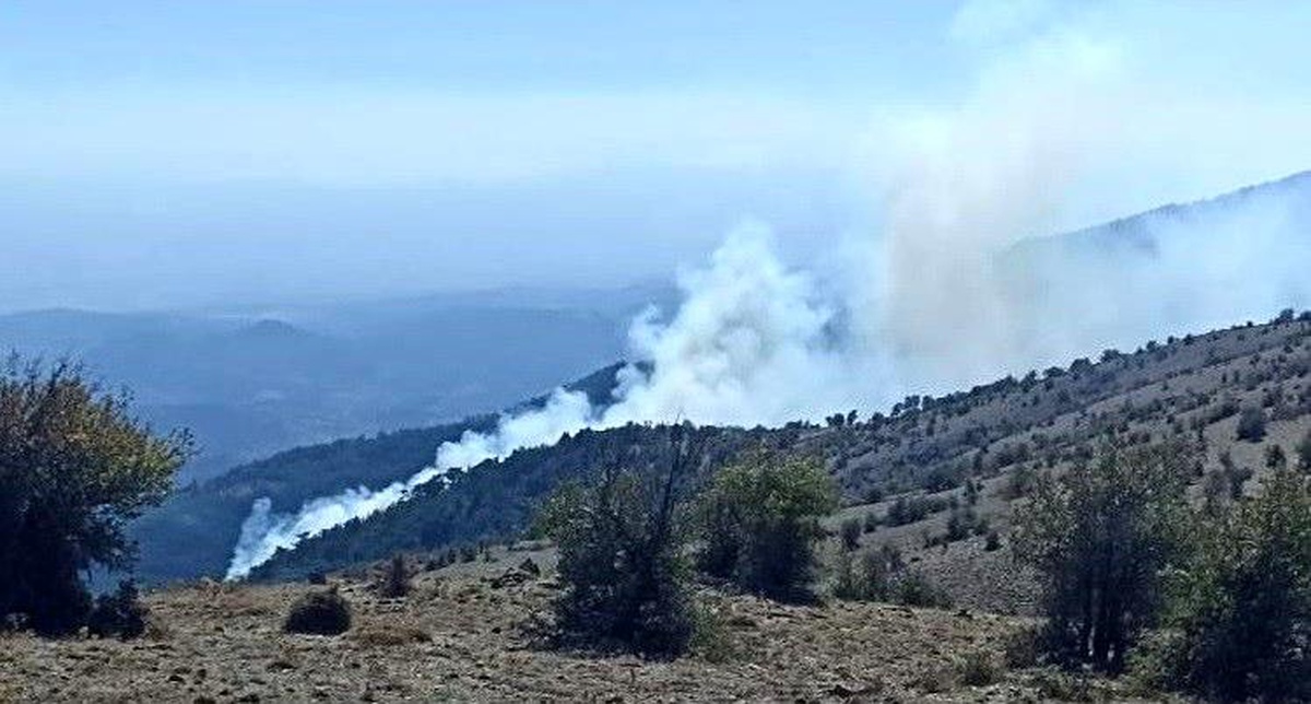 İzmir 3. sayfa haberi: İzmir\'de ormanlık alandaki yangın kontrol altında