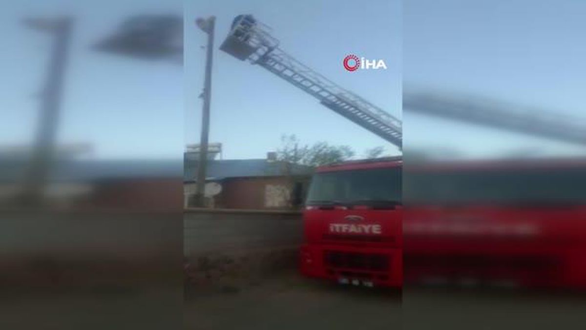 Van haberleri... Özalp'ta 3 gündür elektrik direğinde mahsur kalan kedi kurtarıldı