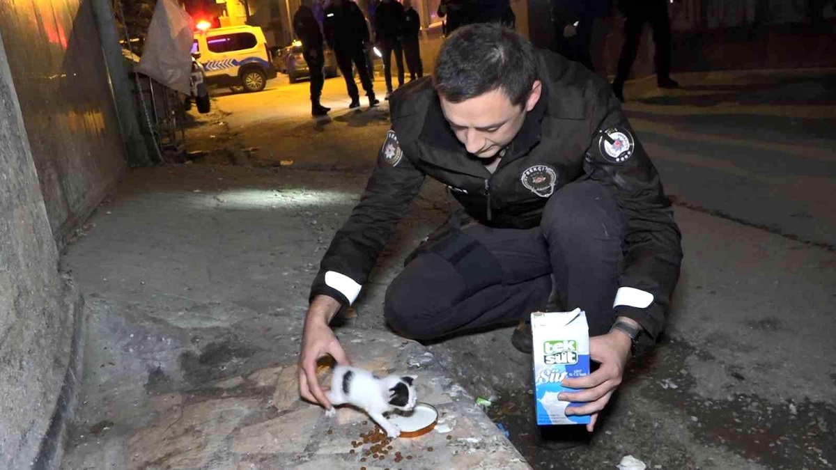 Son dakika haberleri! Polislerin "hırsız var" diye tırmandıkları evden yavru kedi çıktı