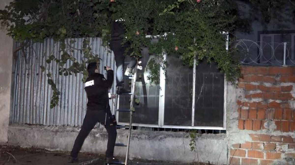 Hırsız ihbarına giden polis ekipleri tırmandıkları evde yavru kedi buldu