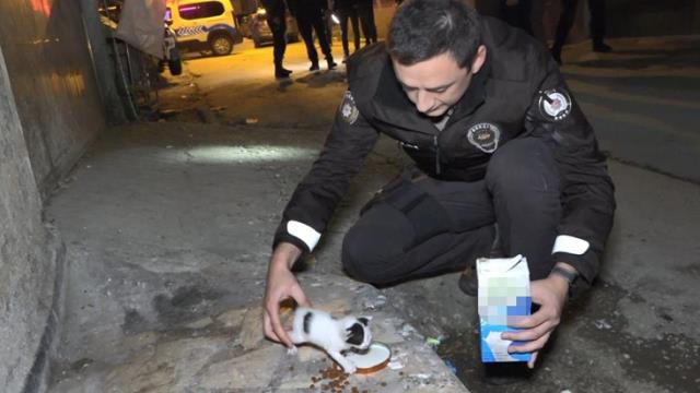 Polislerin 'hırsız var' diye tırmandıkları evden yavru kedi çıktı Polislerin 'hırsız var' diye tırmandıkları evden yavru kedi çıktı