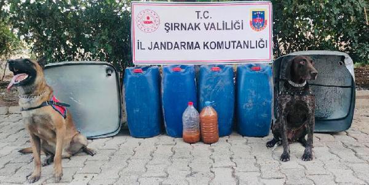 Şırnak gündem: Şırnak\'ta kaçakçılık operasyonlarında 3 tutuklama