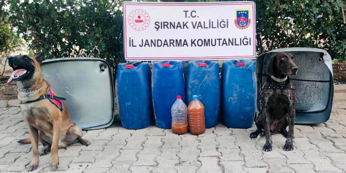 Son dakika haber... Şırnak\'ta kaçakçılık ve asayiş operasyonu: 65 gözaltı