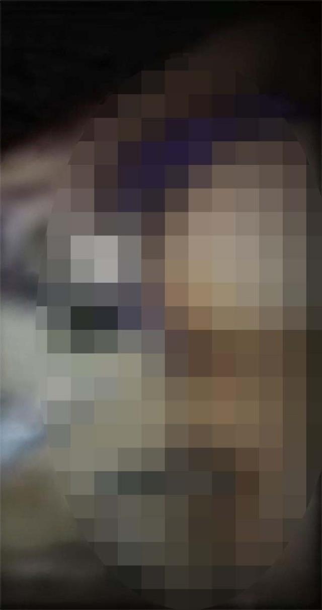 Suudi patrondan büyük skandal! Yeni doğum yapan kadına köpekleri emzirtti Suudi patrondan büyük skandal! Yeni doğum yapan kadına köpekleri emzirtti