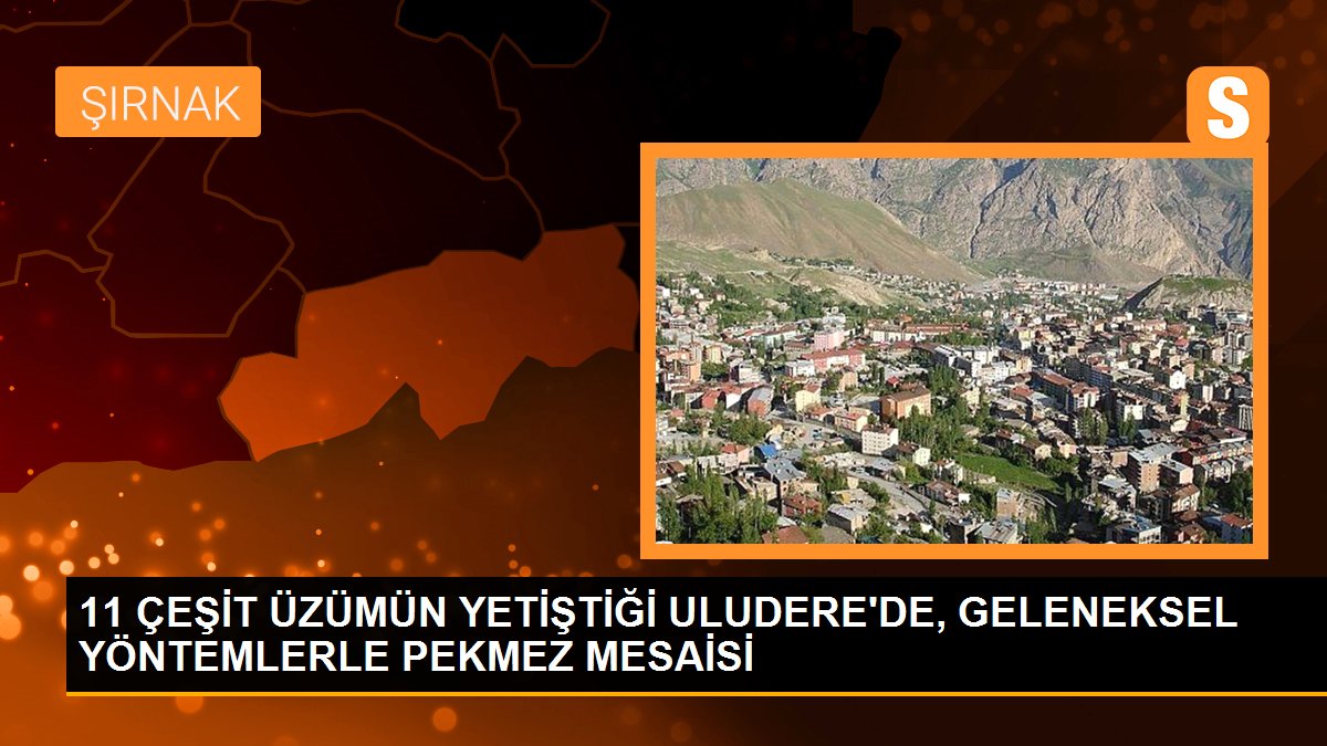 11 ÇEŞİT ÜZÜMÜN YETİŞTİĞİ ULUDERE\'DE, GELENEKSEL YÖNTEMLERLE PEKMEZ MESAİSİ