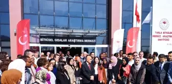 Bakan Kirişci: 'Türkiye'nin dostluğundan kimseye asla zarar gelmez'