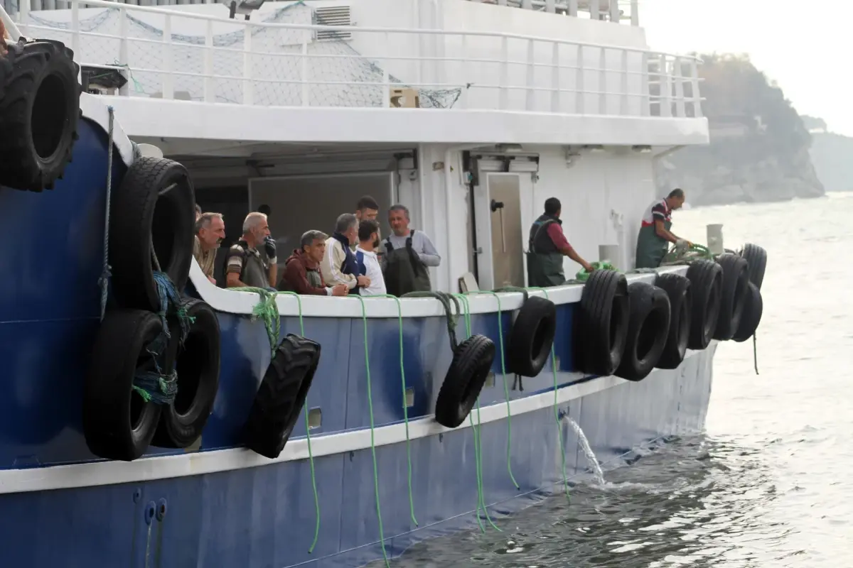 Batı Karadeniz\'de palamut bolluğu devam ediyor